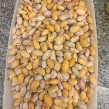 Aydın Doğal Ürünler’den Bozuk Barbunya İçin Tam İade Talebi