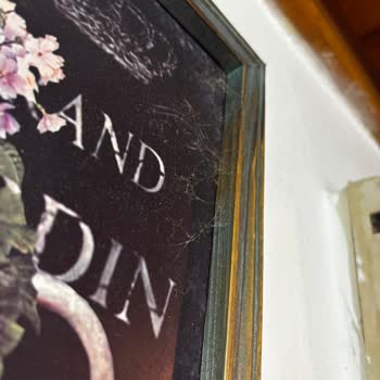 Hijyen Sorunları Nedeniyle Otel Konaklaması İptal Edildi Ve Tam İade Talep Edildi