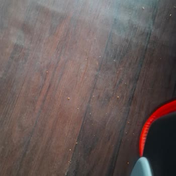 Uzun Rötar, Kirli Ve Bakımsız Otobüs, Çalışmayan Klima Nedeniyle Ücret İadesi Talebi