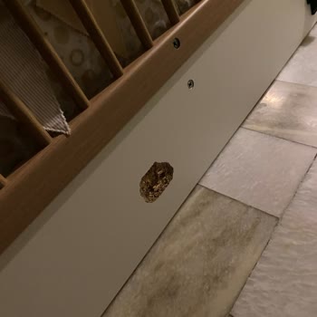 1 Yaşındaki Çocuğumuzun Yatağı Kırıldı Güvenlik Ve Garanti İhlali