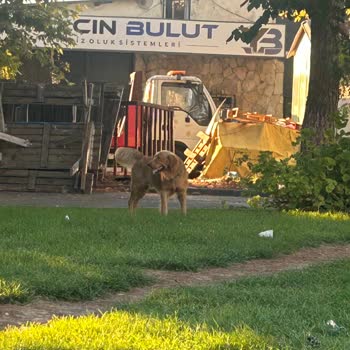 Eki aç