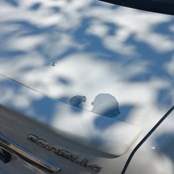 Toyota Corolla Boya Sorunu Ve Servisin Sessizliği