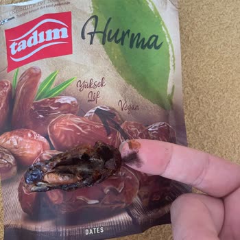 Tadım Hurmasında Siyah Toz Ve Hamilelikte Sağlık Endişesi