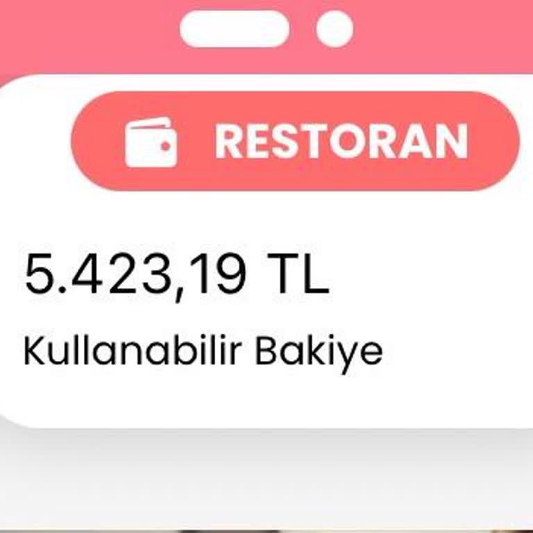 Metropol Kart'ta Yetersiz Bakiye Hatası Ve Yardımsız Müşteri Hizmetleri