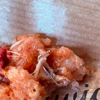 GetirYemek  Tosta Metal Tel Çıktı: Sağlık Riski ve Şeffaflık Eksikliği