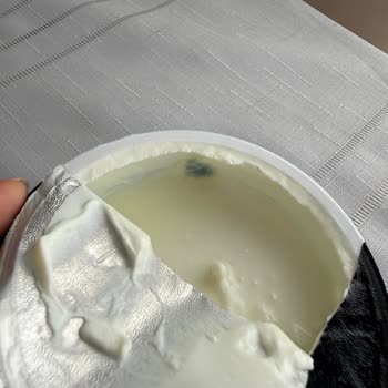 Küflü Ürün İade Reddi Ve Sağlık Riski