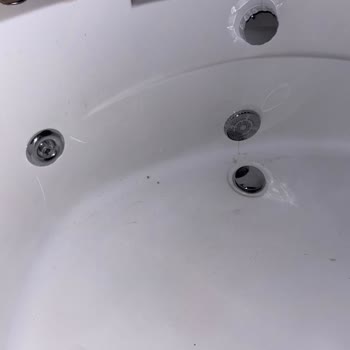 Böceklerle Dolu Kirli Oda, Ücret İadesi Talebi