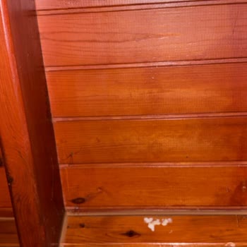 Böceklerle Dolu Kirli Oda, Ücret İadesi Talebi