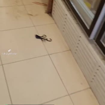 Şok Marketler Sağlığı Tehdit Ediyor