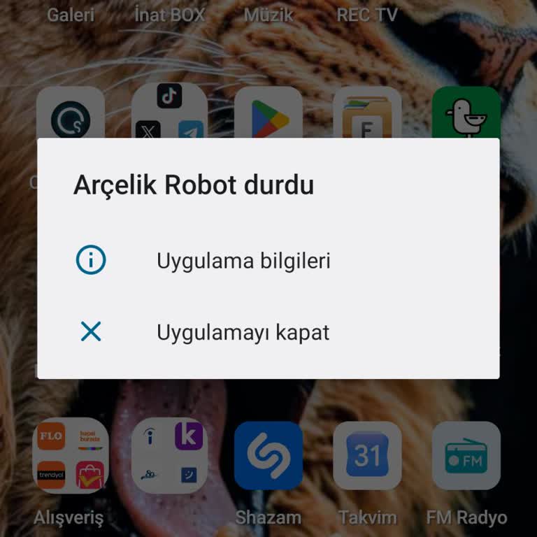 Arçelik Robot Süpürge Uygulaması Açılmıyor Ve Destek Yanıtı Vermiyor