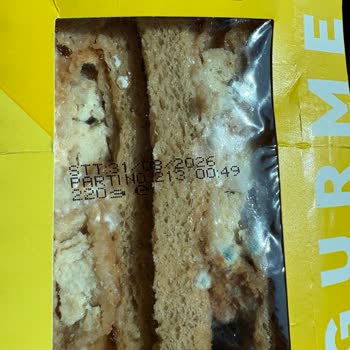 Küflü Tavuk Teriyaki Sandviç İçin Sağlık Riski Ve İade Talebi