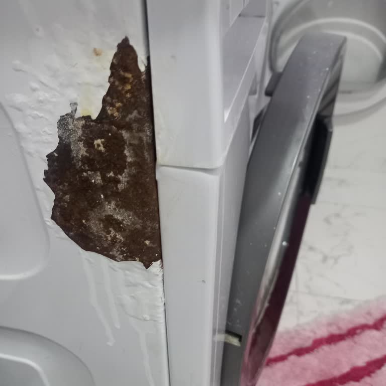 Arçelik Servisinden Boya Dökülmesi Ve Saygısız Tutum