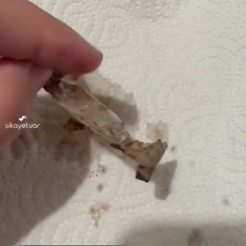 Dola Glutensiz Kakaolu Kahvaltılık Gevrek İçinde Plastik Bir Nesne