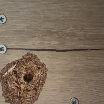 Genç Odası Takımının Ayağı Kırıldı, İade Talebi Reddedildi