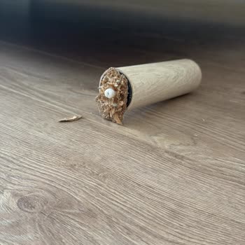 Genç Odası Takımının Ayağı Kırıldı, İade Talebi Reddedildi
