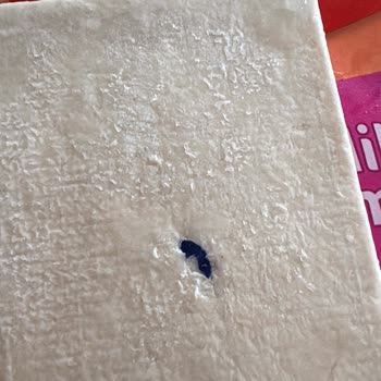 Milföy Hamurunda Plastik Parça Keşfi Ve Güven Sorunu