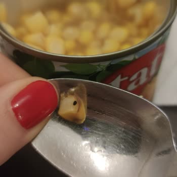 Mısır Konservesinde Böcek, Hijyen İhlali Ve Yetersiz Telafi