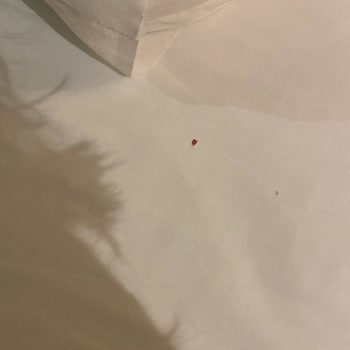 Armada Grannos Thermal Yaşadığım Deneyimden Hiç Memnun Kalmadım