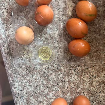 Karmar Market'ten Gelen Kırık Yumurta Ve Patlamış Yoğurt İçin Ücret İadesi Talebi