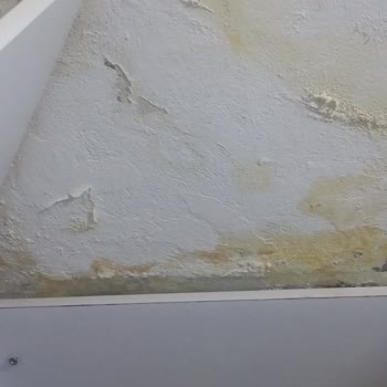 Su Kaçağı Nedeniyle Evde Kullanılamaz Durum Ve Güvenlik Tehlikesi