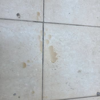 Geciken Ve Dökülmüş Sipariş İçin Açıklama Ve Özür Talebi