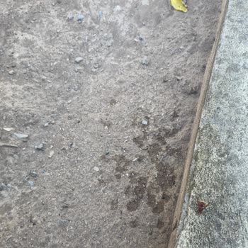 Geciken Ve Dökülmüş Sipariş İçin Açıklama Ve Özür Talebi