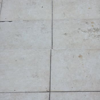 Geciken Ve Dökülmüş Sipariş İçin Açıklama Ve Özür Talebi