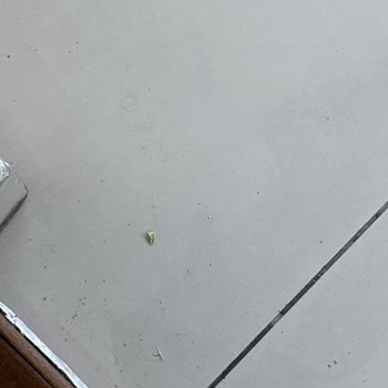 Aidat Ücretleri Katlanıyor, Hijyen Çöktü