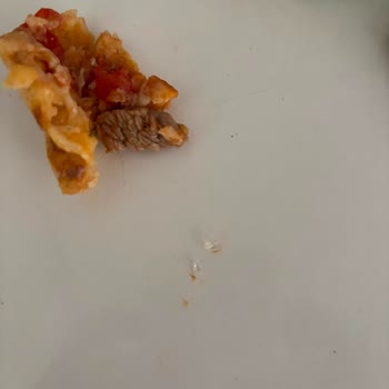 Ercan Usta Lahmacun Pide Sipariş Eve Geldikten Sonra Yerken İçinden Cam Kırığı Çıktı