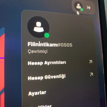 Ozygame'den Alınan Valorant Hesabında Erişim Engeli Ve İade Talebi