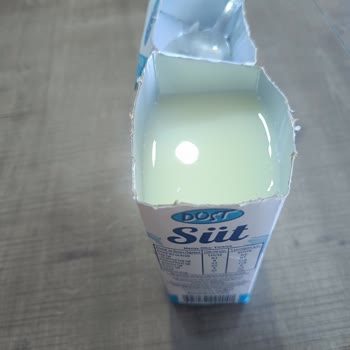 Dost Markalı Bozuk Süt Ürünü Nedeniyle Sağlık Endişesi Ve Mağduriyet