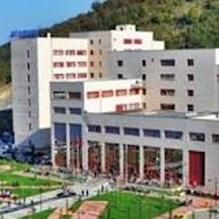 Onkoloji Sekreterliğinde Saygısız Ve Kaba Tavırlar Kabul Edilemez
