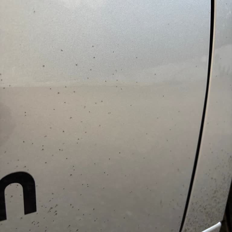 Titocar Lastik Parlatıcı Kaportada Siyah Lekeler Bırakıyor