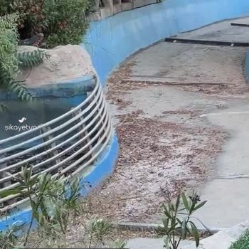 Vialand Tema Park Oyuncaklar Çalışmıyor!