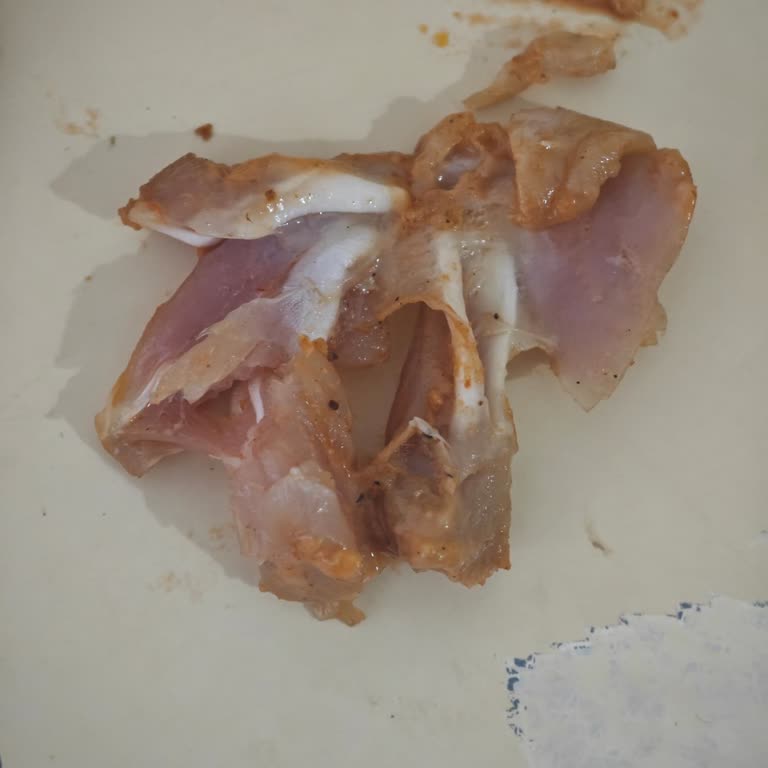 Pişmemiş Tavuk Döner Dürüm Üzerinden Sağlık Riski Ve Tam İade Talebi