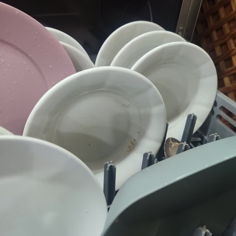 İnoksan Bym052t Bulaşık Makinesinin Yetersiz Temizleme Ve Servis İhmali