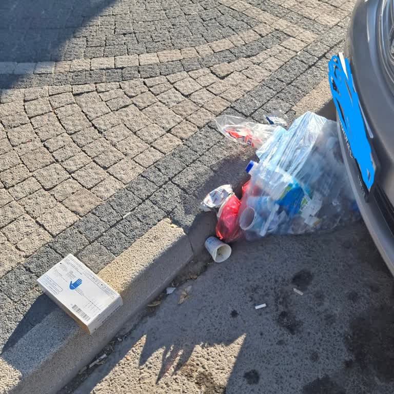 Bolvadin Nefes Veteriner Kliniği Çevre Kirliliği Ve Çalışan Tarafından Fiziksel Saldırı