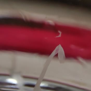 Sade Life Su'nda Plastik Benzeri Yabancı Cisim Ve Sağlık Sorunu