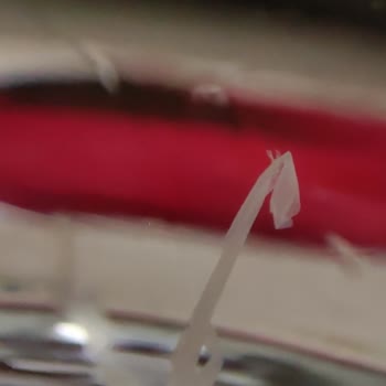 Sade Life Su'nda Plastik Benzeri Yabancı Cisim Ve Sağlık Sorunu