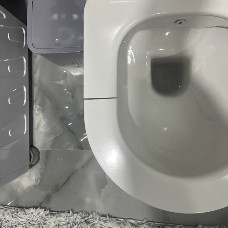 Seramiksan Klozet Kapağı Kısa Sürede Kırıldı: Ciddi Kalite Sorunu