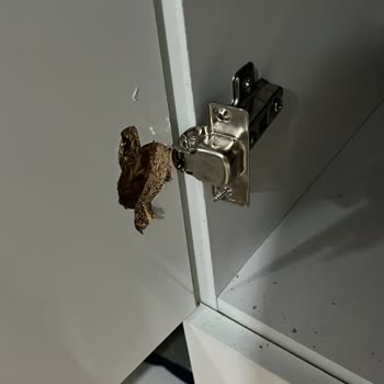 Kırılan Gardırop Kapakları İçin Satış Sonrası Destek Talebi