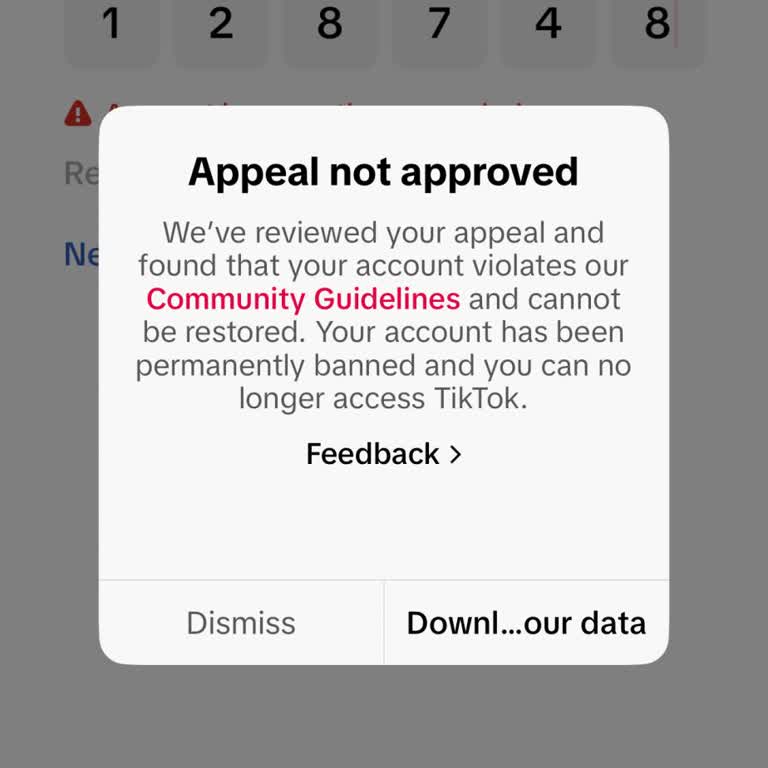 TikTok Permanent Ban Appeal for My Account