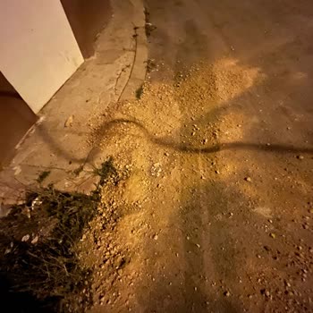 Kazı Çalışması Sonrası Ev Kapısının Önündeki Çöplük