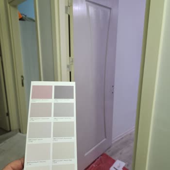 Polisan Renk Hatası Ve İade Reddi Zaman Ve Para Kaybı