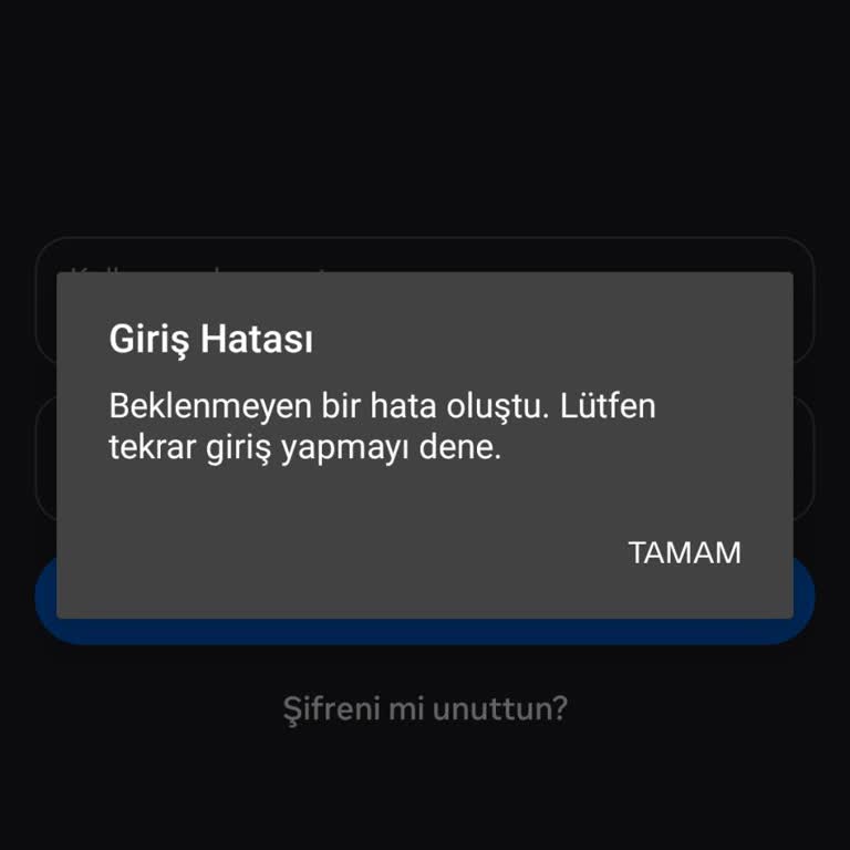 Geçici Dondurma Sonrası Threads Hesabına Giriş Hatası