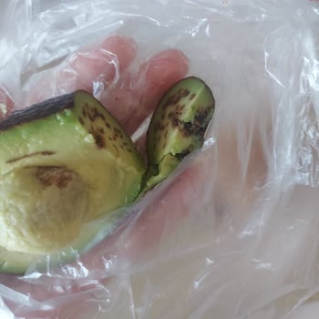 Genesis Tropical Antalya Avokado Ürünün Bozulmuş Ve Kurtlu Durumu: Kalite Kontrol Sorunu