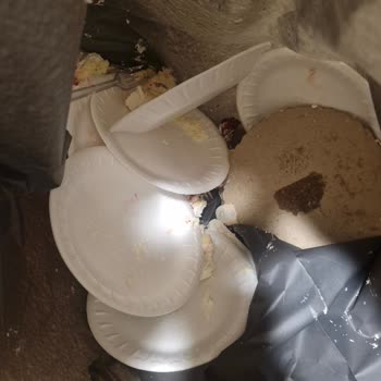 Bozuk Çilekli Pasta İçin İade Ve Sağlık Riski Şikayeti