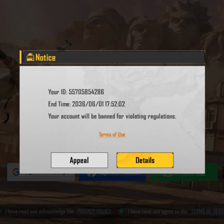 Unblock My BGMI Account