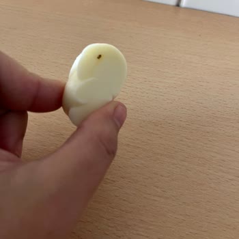 Kapalı Ambalajlı Peynirde Yabancı Böcek Benzeri Madde Ve Çocuk Güvenliği Sorunu