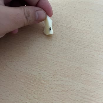 Kapalı Ambalajlı Peynirde Yabancı Böcek Benzeri Madde Ve Çocuk Güvenliği Sorunu